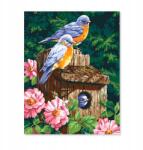 PD Media Festmény Számokkal Kerettel Festmények Madarak 40x50 Vászonkép (Malowanie po numerach)