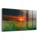 Wallfluent Fotóvászon falra, Napraforgók a réten, 140x70 cm (010010010100100075536)