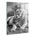 Wallfluent Üveg Falikép Hálószobába Nyomtatott Fenséges állat oroszlán (010010010240100074599)
