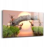 Wallfluent Üveg dekoráció Hangyák fatörzsön 140x70 cm (010010010100100075276)