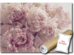 WallMagic Fotótapéta Flizelina Virágok Bazsarózsa Peonie 250x175 ragasztó ingyen (13818VX5)