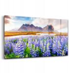 Wallfluent Üveg fali dekoráció Varázslatos csillagfürt virágok (010010010050100074694)