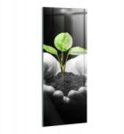 Wallfluent Fotó-Kép Dekoráció Lakberendezés Előszobába Növény a kezekben (010010010180100075015)