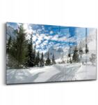 Wallfluent Kép a nappaliba, Téli hegyi táj, 140x70 cm (010010010100100075081)