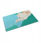 Wallmuralia Sláger Kültéri Lábtörlő lépcsőházba, Játékos cicás, Nagy méretű 150x100cm (010650720030000077694)