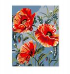 PD Media Festmény Számokkal Kerettel Festmény Pipacsok Virágok 40x50 Vászonkép (3899871959602)