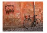 DecoNest Fotótapéta Kerékpár 400X309 (A0-4XLFTNT1445)
