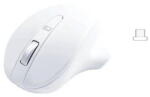 Matias UMMSSRBD0000003 Mouse