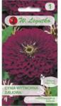 W. Legutko Dalia Violet Queen - violet