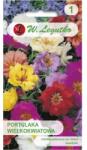 W. Legutko Amestec de purslane cu flori mari, semi-duble