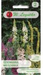 W. Legutko Mullein - amestec de specii perene