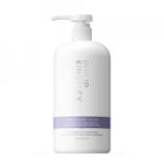 Philip Kingsley - Balsam pentru par Philip Kingsley Pure Blonde/Silver Brightening Daily 1000 ml Balsam pentru par