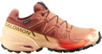 Salomon Speedcross 6 Gore-Tex női cipő Cipőméret (EU): 42 / barna