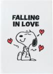 Erik Caiet Erik Animation: Peanuts - Snoopy Love Season, format A5 (CTPA5011)
