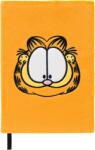 Erik Caiet Erik Comics: Garfield - Garfield, format A5 (CTPA5007)