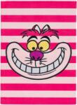 Erik Caiet Erik Disney: Alice in Wonderland - Cheshire Cat, format A5 (CTPA5005)