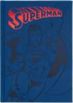 Erik Caiet Erik DC Comics: Superman - Superman, format A5 (CPA5066)