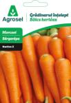 Agrosel Seminte Morcovi NANTES 2, Agrosel, Gradinarul intelept - 4, 5 g (5948872037937)