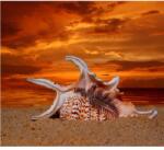 MÉDIA Vászon festmény, MEDIA, natura5, 70 x 70 cm (TABIMG11227)