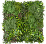  GreenWall Mesterséges Növényfal Panel, 1 m2 (Spirit) | Gondozásmentes Zöldfal Kültérre és Beltérre - UV-stabil