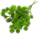  Bogáncs csokor - világoszöld 2db/csomag - csinaldmagadshop