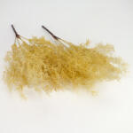  Szárazvirág hatású aszparágusz csokor natúr 2db/csomag - csinaldmagadshop