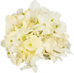  Hortenzia virágfej 10cm fehér - csinaldmagadshop