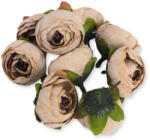  Begónia virágfej cirmos barack 3, 5cm 10db/csom - csinaldmagadshop