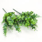  Eukaliptusz bokor hamvas zöld 2db/csomag - csinaldmagadshop