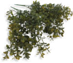  Buxus csokor sárgászöld - csinaldmagadshop