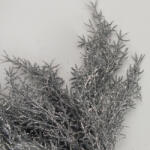  Csillámos asparagus csokor ezüst