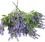  Trombitavirág csokor lila 2db/csomag - csinaldmagadshop