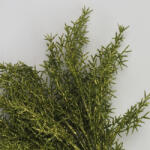  Csillámos asparagus csokor zöld - csinaldmagadshop