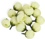  Begónia virágfej krém 2cm 15db/csom - csinaldmagadshop