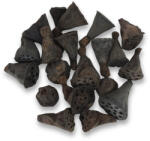  Lótusz double mini termés csomag 20db/csom - csinaldmagadshop