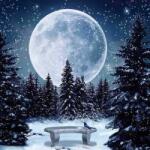 NORIMPEX - Puzzle Tablou Diamant: Lună plină iarna 30x40cm - 1 - 39 piese