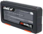 Wellcut Set burghie SDS Plus si dalti 6 piese Wellcut pentru beton si zidarie (9718)