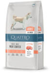 Quattro Super Premium ADULT SALMON kutyatáp 12kg - kutyamacskatap
