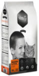 Amity Premium Cats Salmon 10 kg macskatáp