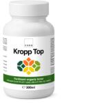 CHRD KROPP TOP, Fertilizant lichid universal, 300ml