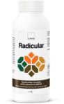 CHRD RADICULAR, Biostimulator microbian pentru aplicare prin fertigare, 1L