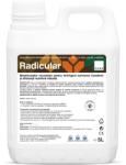 CHRD RADICULAR, Biostimulator microbian pentru aplicare prin fertigare, 5L