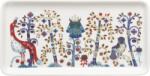 Iittala Farfurie de servire Taika 12 x 24 cm, alb (1070930)