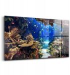 Wallfluent Kép edzett üvegből Akvárium halakkal 140x70 cm (010010010100100075126)