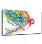 Wallfluent Akvarell Kép Színes Repülő Papagáj 140x70 cm (010010010100100074810)