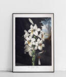  Fehér liliom poszter 30 x 40 cm
