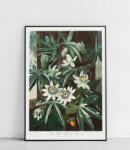  Kék golgotavirág poszter 30 x 40 cm