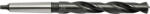 Sherwood 20.00MM KÚPOS SZÁRÚ CSIGAFÚRÓ HSS (SHR0252790A)