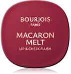 Bourjois Macaron Melt Lip & Cheek Flush arcpirosító 2 az 1-ben árnyalat 05 Berry Smoothy 5 g
