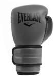 Everlast Боксови ръкавици с защита Powerlock Everlast 2R (P00002304)